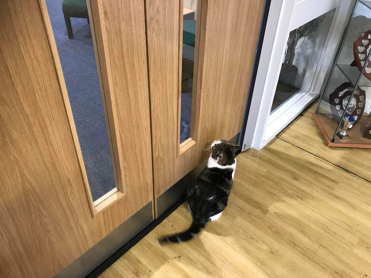 OutwoodsCat's tweet photo. For those of you wondering how the new catflap is going. ๐น๐น
#catflapgate #catsoftwitter #cats #Hedgewatch https://t.co/u8KZM6Lw89