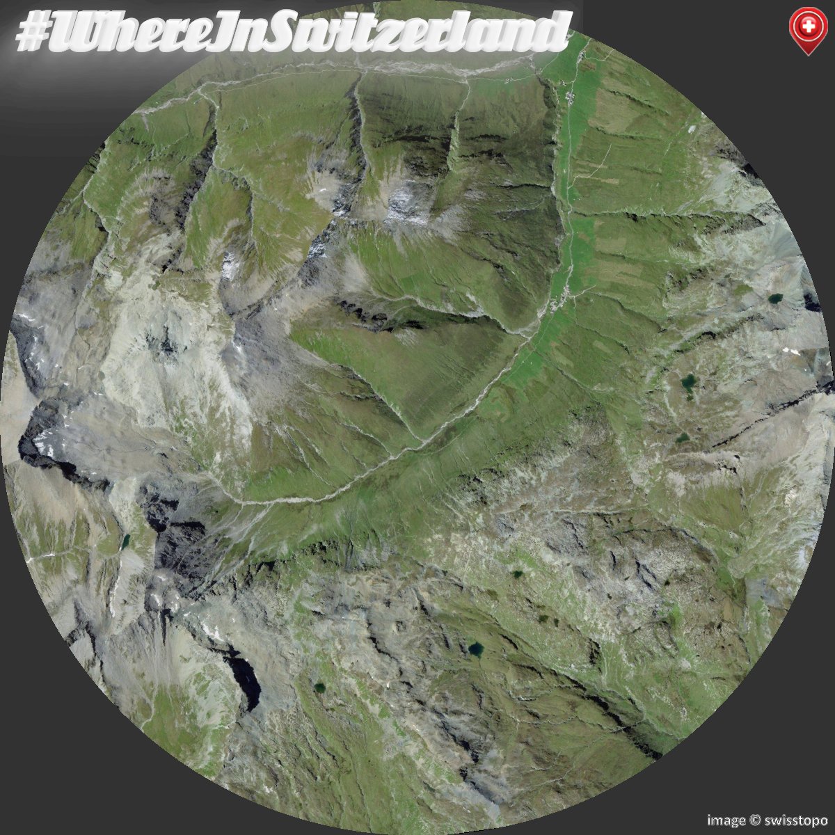 swissguesser tweet media