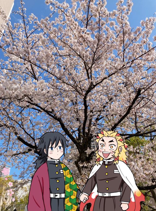 期末で仕事がピークに忙しいのにシステムダウンしたからお花見に逃げて来ました٩( ᐛ )و 