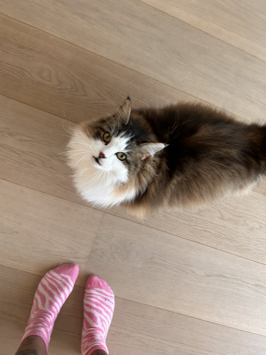 ¿Se puede ser más guapo?