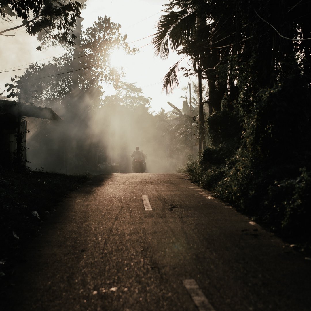 HujanLocale's tweet photo. Ever-changing skies and colors shifting with the sun - this is what a sunrise in Ubud looks https://t.co/YZrMbW9zbt