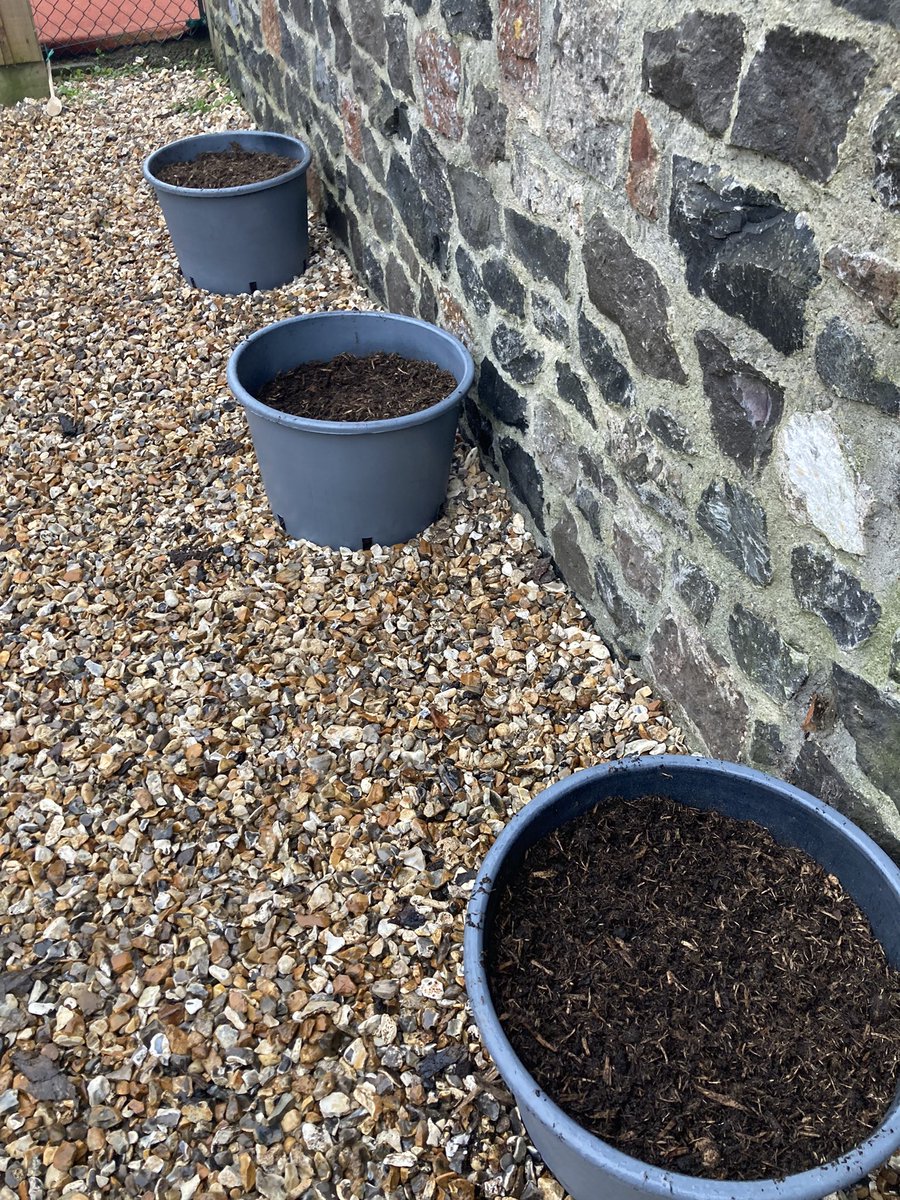 The Elves and Unicorns classes were busy yesterday helping to sew many seeds in our new Sensory Garden. 

This term they have been learning about our green planet and how to look after the world and so practical activities like this are essential for little minds. <a href="/WessexTrust/">The Wessex Learning Trust</a>