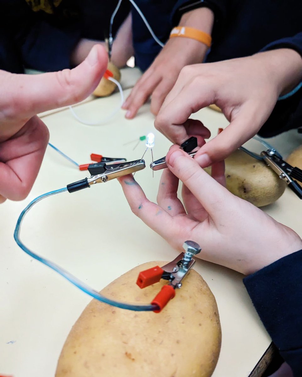 ColegioAfuera's tweet photo. ¿Sabes qué obtienes si juntas a unos alumnos de 5º de primaria, unos cables y unas patatas 🤔? ¡Luz 💡! 5º ha conseguido encender una bombilla LED con tan solo patatas como fuente de energía 🥔. Who knew! Todas sus fotos ya en fototeca 📷. #labpractice #science #primary #colegio https://t.co/DZyQ5g2G7l