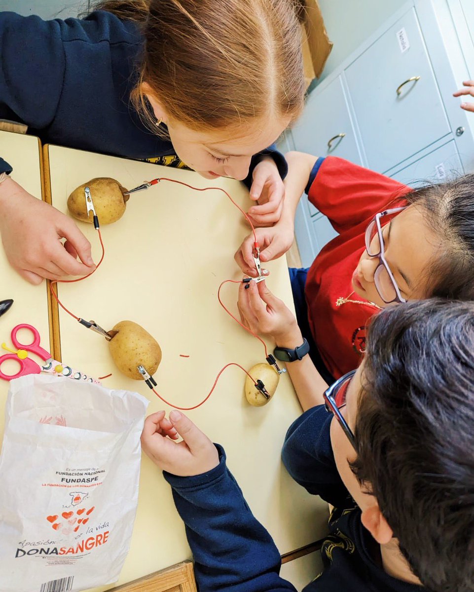 ColegioAfuera's tweet photo. ¿Sabes qué obtienes si juntas a unos alumnos de 5º de primaria, unos cables y unas patatas 🤔? ¡Luz 💡! 5º ha conseguido encender una bombilla LED con tan solo patatas como fuente de energía 🥔. Who knew! Todas sus fotos ya en fototeca 📷. #labpractice #science #primary #colegio https://t.co/DZyQ5g2G7l