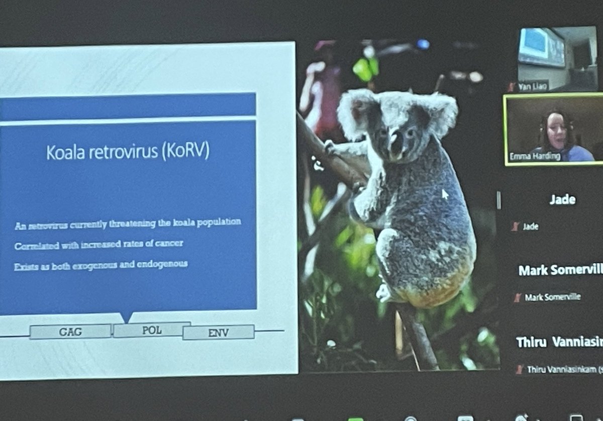 We’re halfway through our <a href="/AUSSOCMIC/">ASM</a> NSW/ACT Branch Nancy Millis Student Travel Awards Night ✨ 

It’s been a fantastic showcase thus far of the exciting research our students are undertaking! Heavy metals &amp; AMR, P. aeruginosa-amoeba eye infections, &amp; Aussie marsupials + viruses!