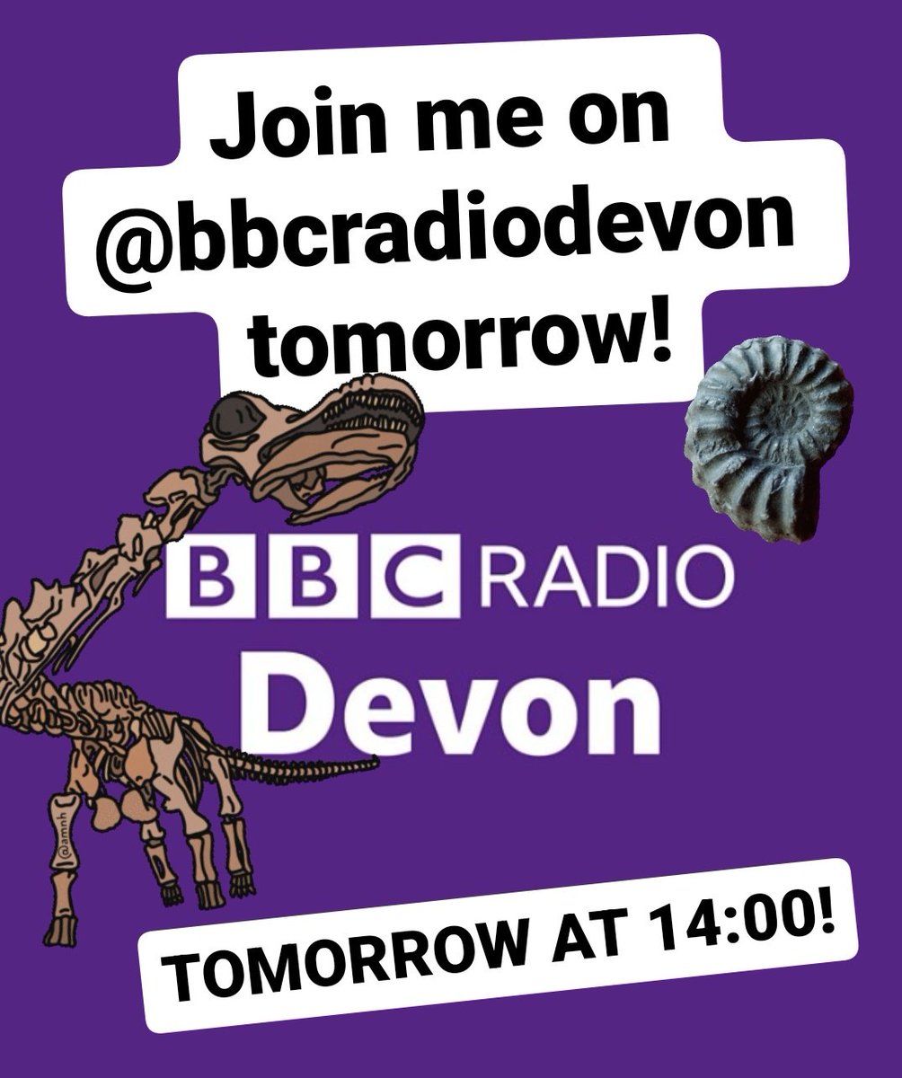 Join me tomorrow with <a href="/BBCDevon/">BBC Devon</a> as I talk all things fossils, including the return of the #FossilFestival with <a href="/LymeRegisMuseum/">Lyme Regis Museum</a>! #scicomm #palaeontology #dinosaurs #fossils