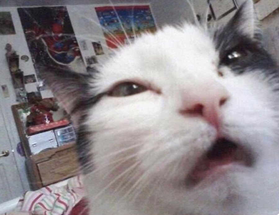 vizeler öncesi izlemem gereken derslere bakıyorum