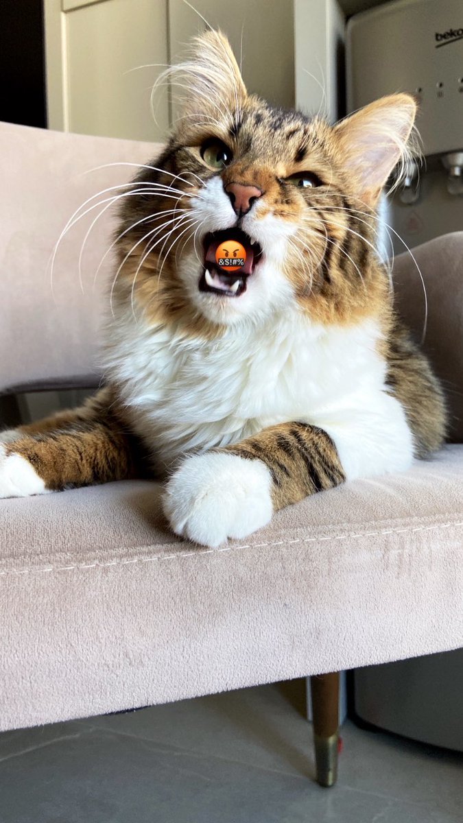 Hırrrrr