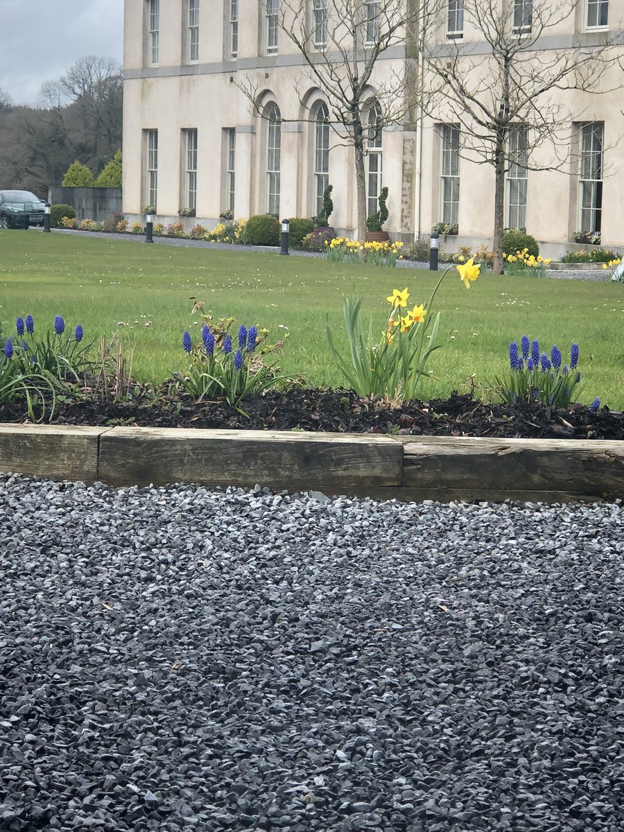 Blossoming <a href="/NAYCEXEC/">NAYC</a> <a href="/ETBIreland/">ETBI</a> #NAYC2023 #weareyouthreach