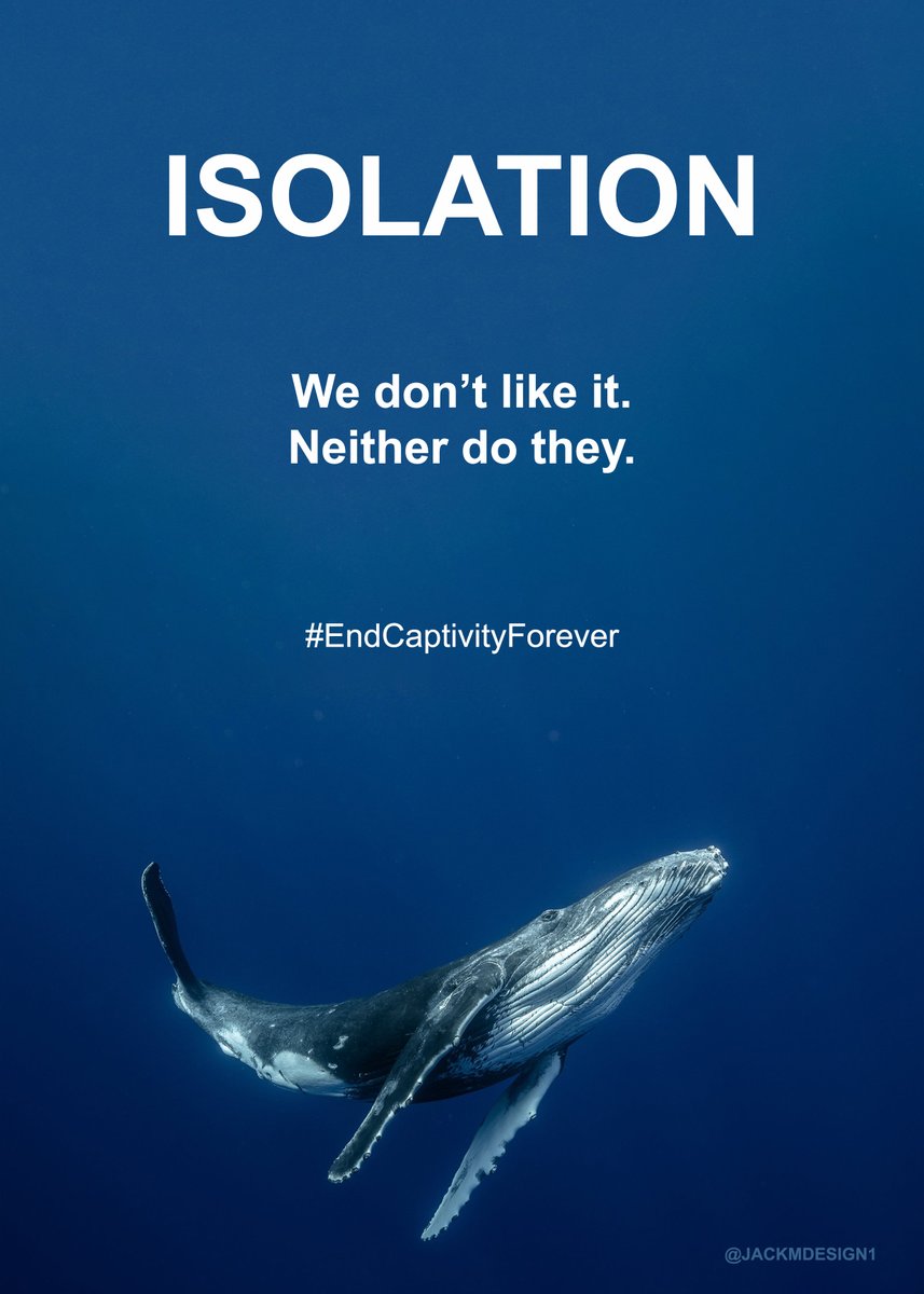@whalesorg @OneMinuteBriefs We Don't Like it. Neither do they. #EndCaptivityForever 🐳🐋🐬