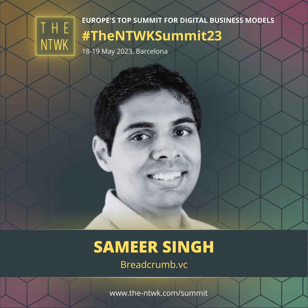 TheNTWK (The Network) Ecosystem tweet media