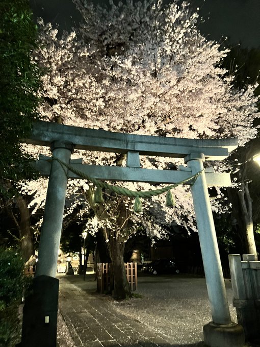 御嶽神社  #桜とPortal2023 #ingress 
