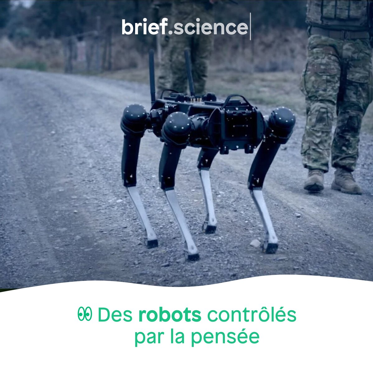 Une équipe de recherche a développé une interface cerveau-machine plus efficace, à l’aide de nouveaux capteurs, permettant à ses utilisateurs de contrôler des robots par la pensée.

On vous raconte dans notre article :
🔗 app.brief.science/article/2023-0…