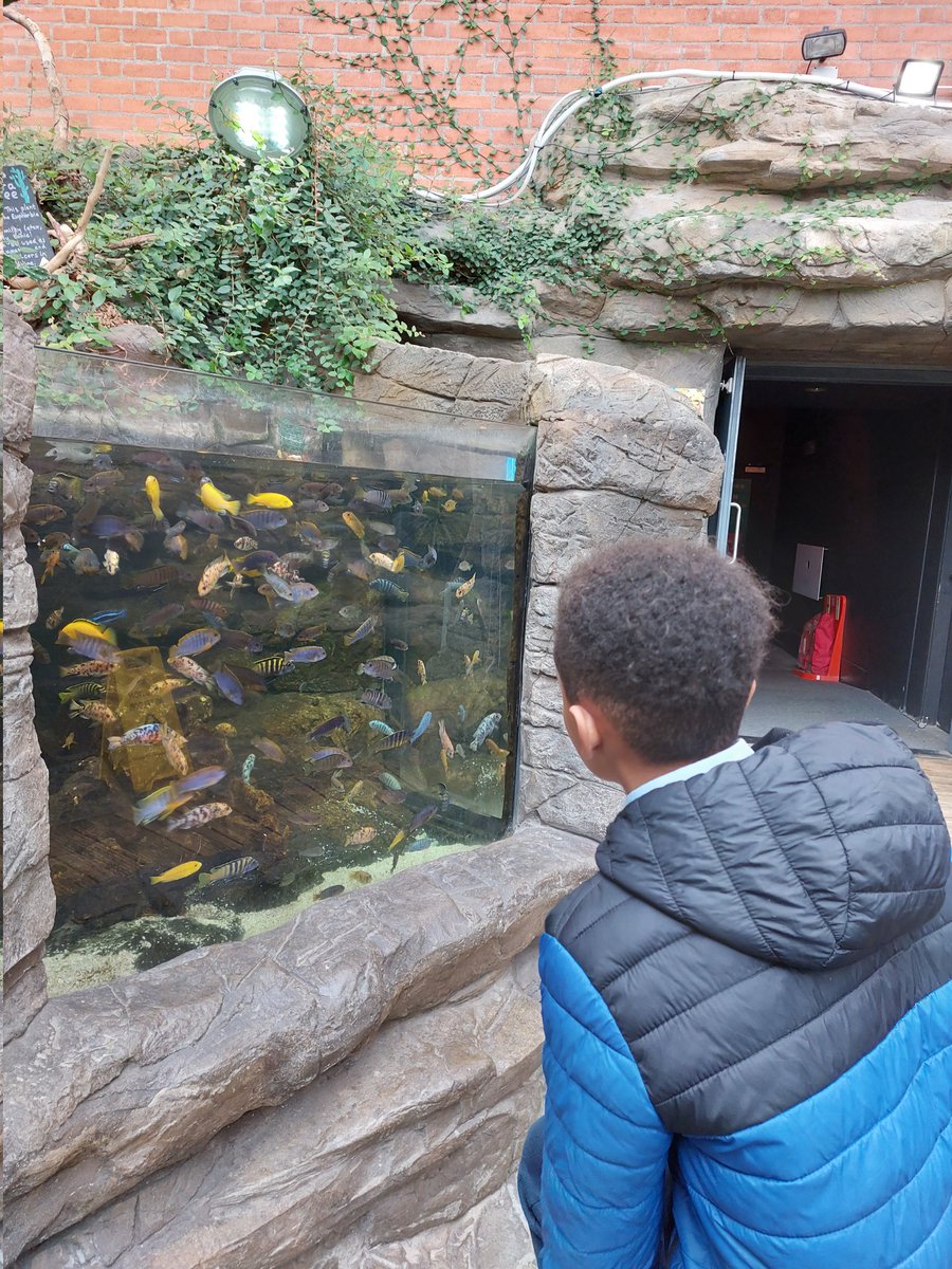 EastonLEAP's tweet photo. We went on a trip to Bristol Aquarium today. We saw so many interesting sea creatures including turtles, sharks and sting rays. We loved walking through the underwater tunnel! @LearnatMAT https://t.co/TG4B7wSc6x