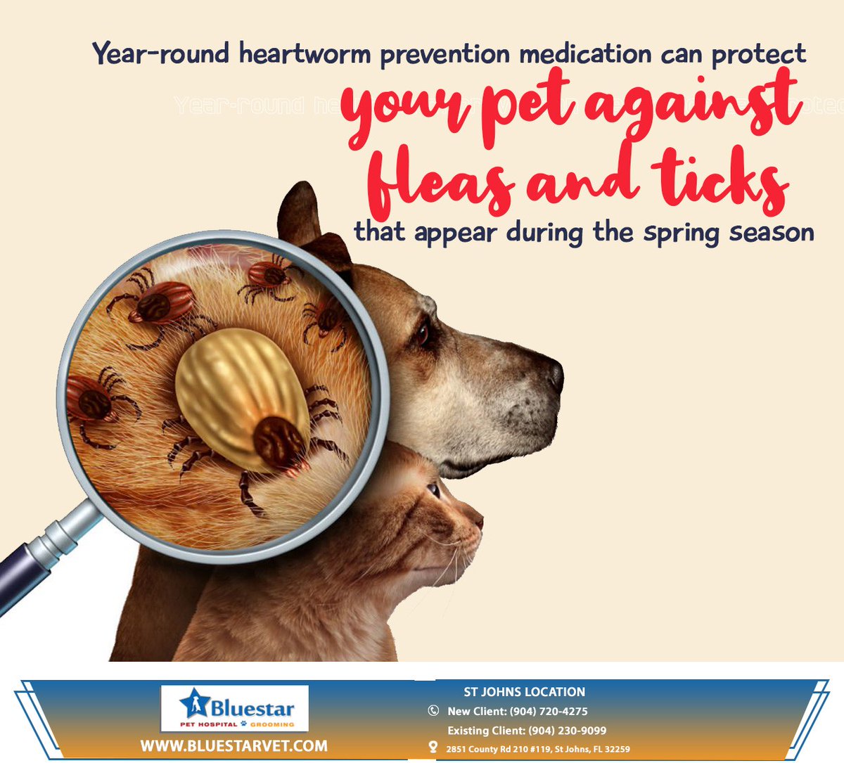 Make sure you have given your pet heartworm prevention medication to keep him or her safe this spring. Speak to your vet if you have any questions. #fleaprevention #heartworm #petcare #stjohns #jacksonville #FL #bluestarvet