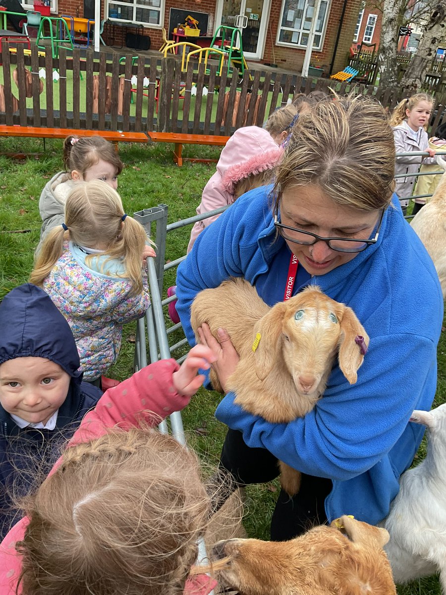 InfantWalsh's tweet photo. Silver class enjoyed a wonderful meet and greet of the animals from Millers Farn. We were able to touch, stroke and learn about pigs, goats, sheep and a donkey. It was very interesting and the children asked so many sensible questions. 🐷🐮🐣 https://t.co/ha2dzmWY6A