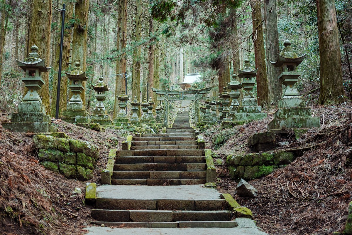 Ichiban_Japan's tweet photo. L’ambiance mystique exceptionnelle du sanctuaire Kamishikimi Kumanoimasu-jinja (préfecture de Kumamoto).
C’est ici que se déroule l’histoire du manga Hotarubi no Mori e. https://t.co/Cdeo0WBbMV