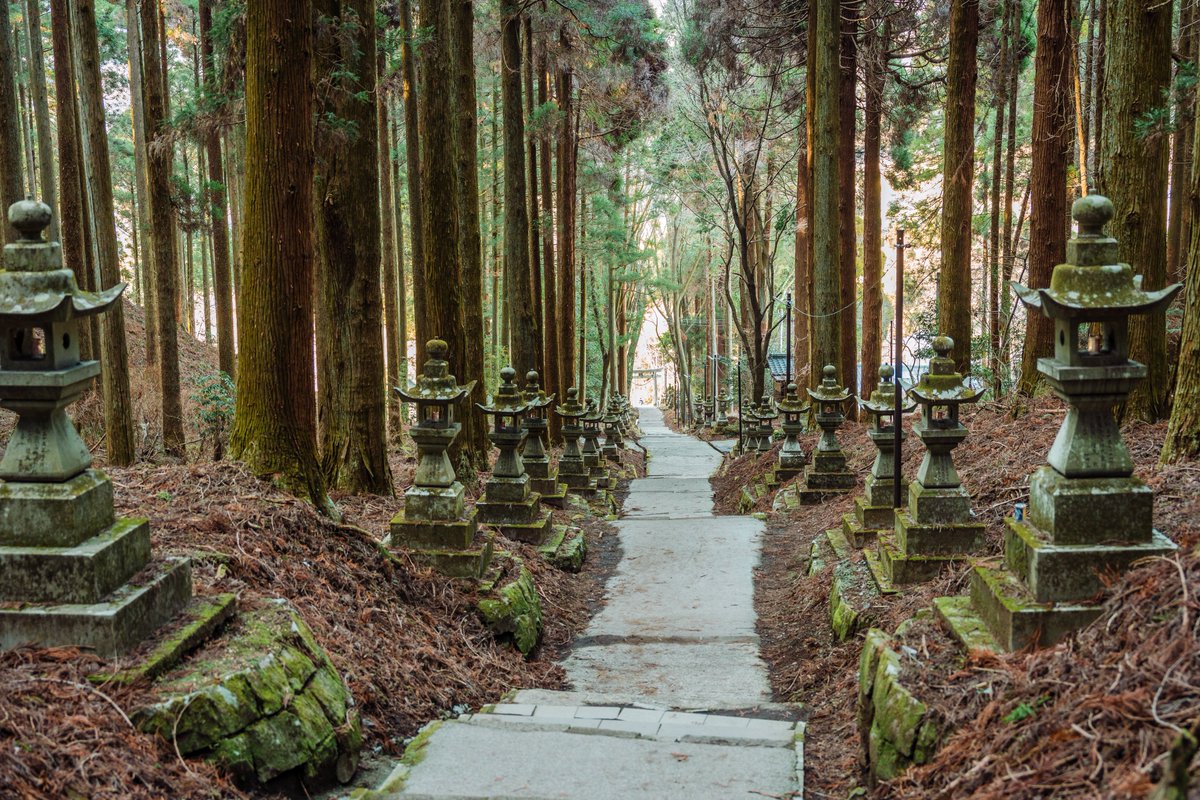 Ichiban_Japan's tweet photo. L’ambiance mystique exceptionnelle du sanctuaire Kamishikimi Kumanoimasu-jinja (préfecture de Kumamoto).
C’est ici que se déroule l’histoire du manga Hotarubi no Mori e. https://t.co/Cdeo0WBbMV