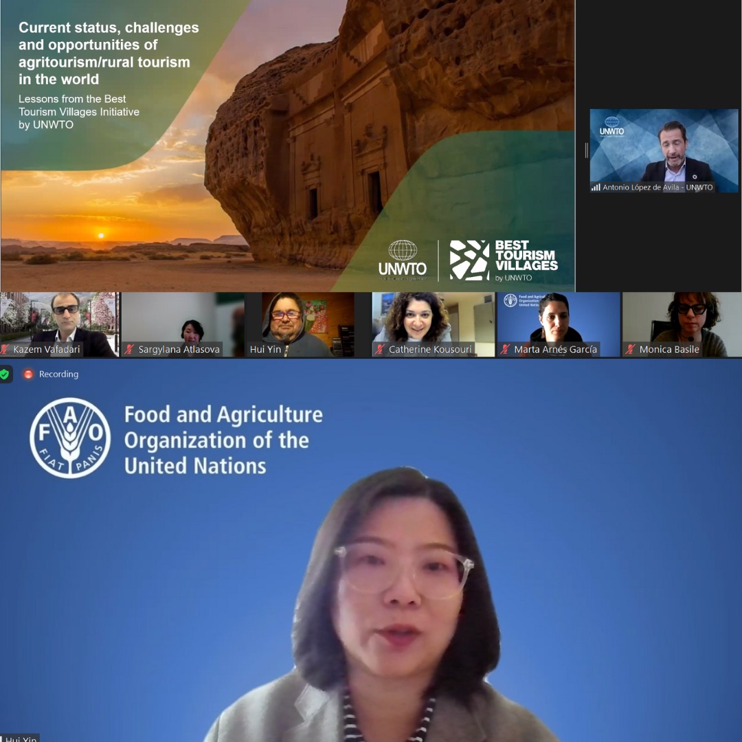 In webinar ‘Maximizing Role of Rural Tourism and Agritourism’, @UNWTO and @FAO came together to discuss vital link between tourism and agriculture. Our #BestTourismVillages 2022 Puqueldón and Dazhai spoke about how #agritourism has helped rural economy
#GIAHS #rural
@BTV_UNWTO