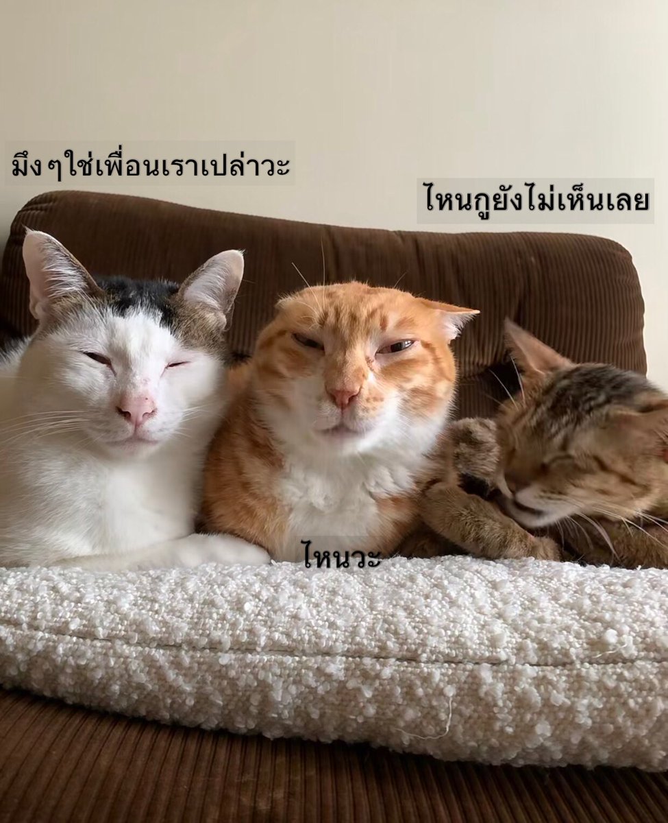 กลุ่มนี้หยิ่งว่ะ , ความเป็นจริง