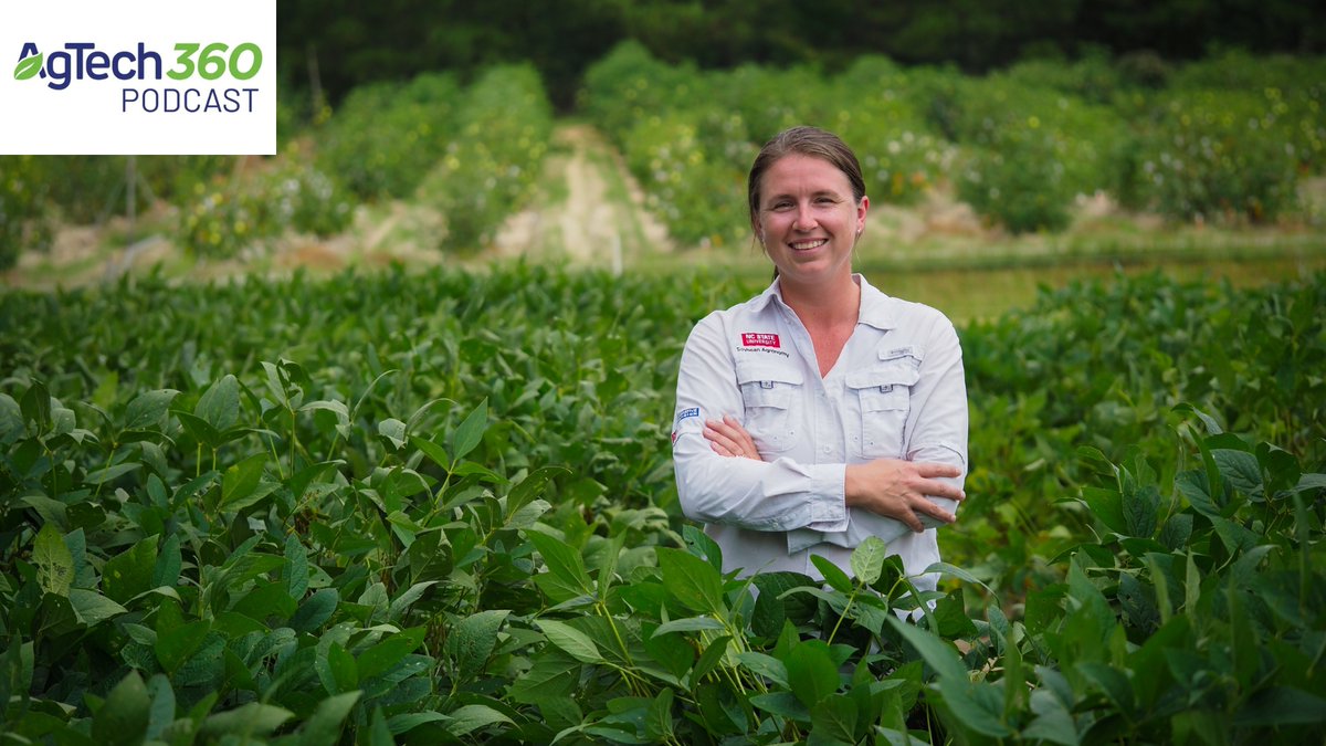 NEW EPISODE 🙌 @adrianpercy talks to PSI platform director and Extension #soybean specialist, Rachel Vann @NCStatesoybeans. Learn all about #extension in NC and its role in getting #tech out to soybean #farmers across the country. @ncsoybeans Listen: ncst.at/krTe50Nub0A