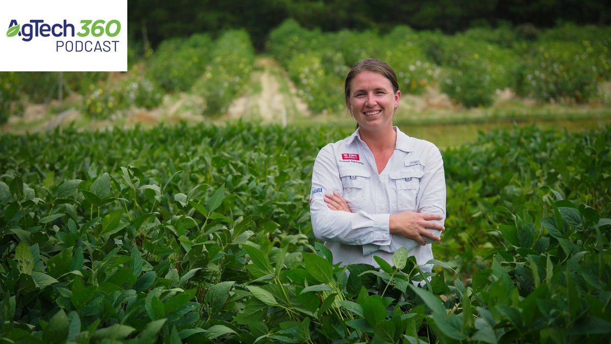 N.C. Plant Sciences Initiative (@nc_psi) on Twitter photo NEW EPISODE 🙌 <a href="/adrianpercy/">Adrian Percy</a> talks to PSI platform director and Extension #soybean specialist, Rachel Vann <a href="/NCStatesoybeans/">NC State Soybean Extension</a>. Learn all about #extension in NC and its role in getting #tech out to soybean #farmers across the country. <a href="/ncsoybeans/">NC Soybean Producers Association</a>
Listen: ncst.at/krTe50Nub0A NEW EPISODE 🙌 <a href="/adrianpercy/">Adrian Percy</a> talks to PSI platform director and Extension #soybean specialist, Rachel Vann <a href="/NCStatesoybeans/">NC State Soybean Extension</a>. Learn all about #extension in NC and its role in getting #tech out to soybean #farmers across the country. <a href="/ncsoybeans/">NC Soybean Producers Association</a>
Listen: ncst.at/krTe50Nub0A