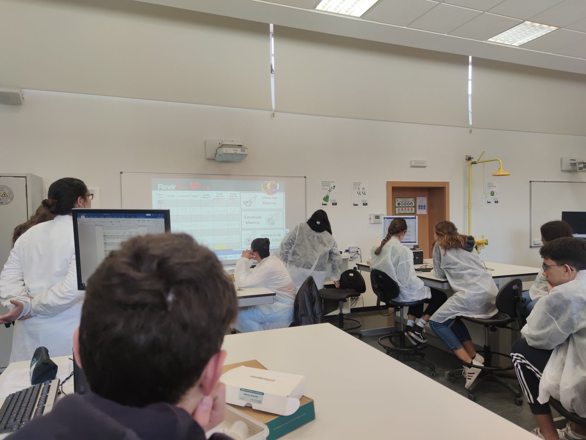 Avui, repte al <a href="/revir_uab/">Revir UAB</a> amb l'alumnat de #Física de 1r de Batx! 🔭💡 Analitzem un salt de bungee? 🤔 On trobem la màxima velocitat? De quins tipus són les energies que hi intervenen? 🤯