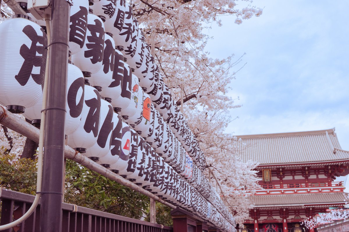 今月2度目の浅草
あいにくの曇天であまりいい写真が撮れなくて残念…