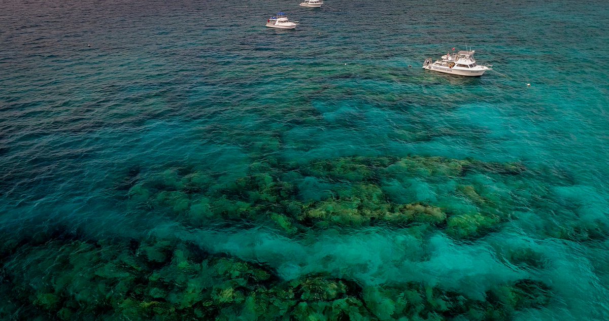 FloridaKeysNMS's tweet image. Calling all fans of our Mission: Iconic Reef sites in the lower Keys (Eastern Dry Rocks, Looe Key, Newfound Harbor): We need your perceptions about how these sites are used recreationally. A workshop takes place Monday in Key West. RSVP: Christopher.Schwinghamer@mail.wvu.edu