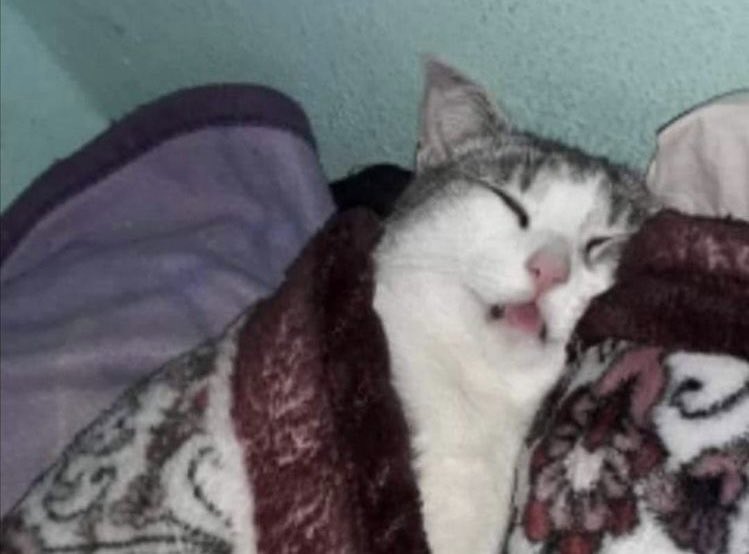 Guarromantico_'s tweet photo. *Pongo mi alarma a la 7am*

Yo a las 9am: https://t.co/IPZSOux1Iv