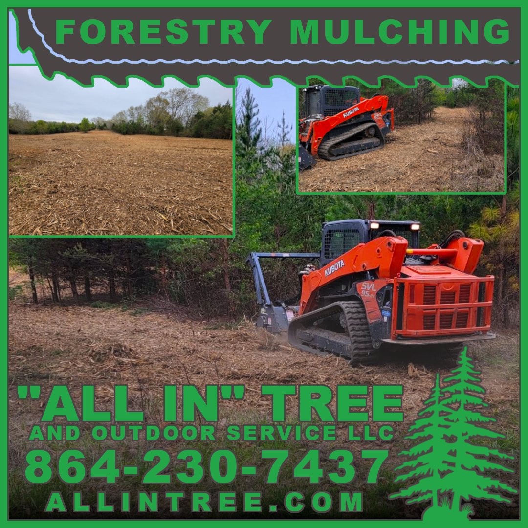 ALLINTREE's tweet photo. Tree removal, Tree trimming, Demolition, Lot clearing, Brush cutting, Bush hogging, Forestry mulching...We can do that!  Call today 864-230-7437 https://t.co/op5Z8JWAoo