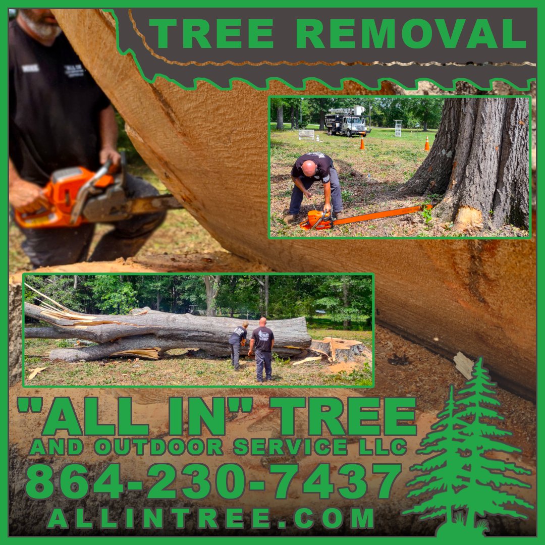 ALLINTREE's tweet photo. Tree removal, Tree trimming, Demolition, Lot clearing, Brush cutting, Bush hogging, Forestry mulching...We can do that!  Call today 864-230-7437 https://t.co/op5Z8JWAoo