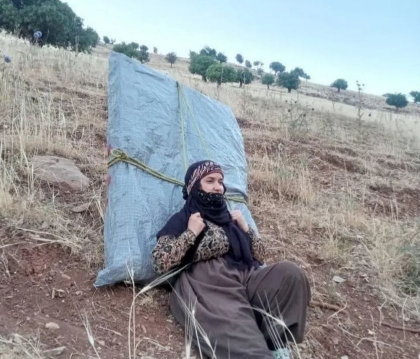 نشسته ام وسط زندگی
صبور، غمگین، خسته، امیدوار و ادامه دهنده...
🔸محمد یغمایی
#کولبر
