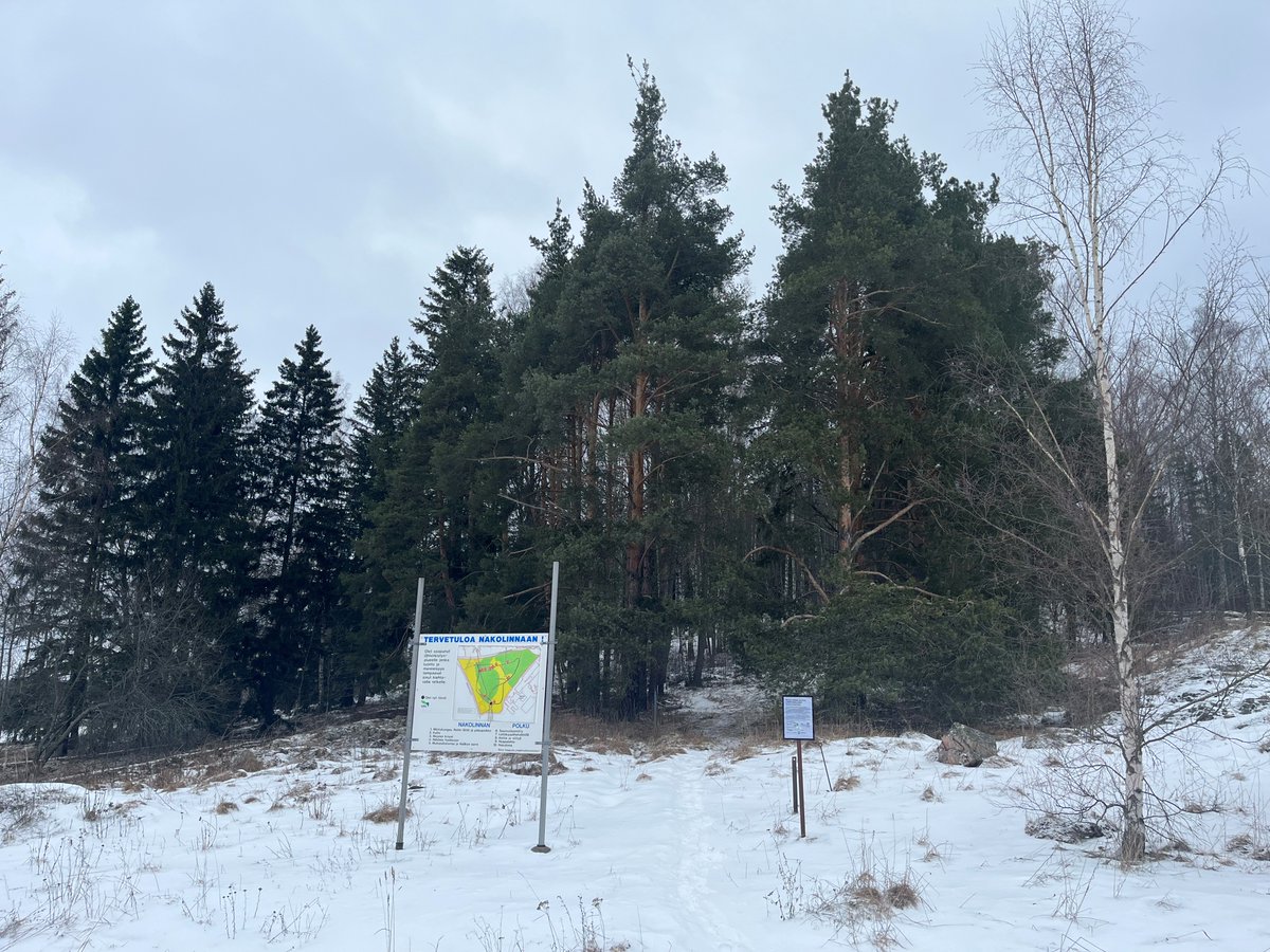 Salonkaupunki's tweet image. Meriniityn Nakolinnan alueella #SalonPölyttäjälinna -hankkeen työt ovat loppusuoralla. Talven aikana on poistettu yksittäisiä puita ja puuryhmiä sekä raivattu alikasvustoa. Hankkeen avulla parannetaan pölyttäjien olosuhteita. #SalonKaupunki #pölyttäjät
tiedotteet.salo.fi/polyttajalinna…