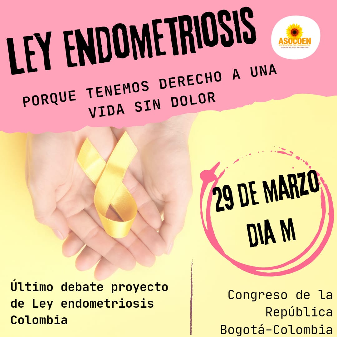 Endocolombia's tweet photo. Hoy es el día 29M último debate del proyecto de Ley endometriosis Colombia https://t.co/XQNzUUV3VG https://t.co/C0crcCZTzY