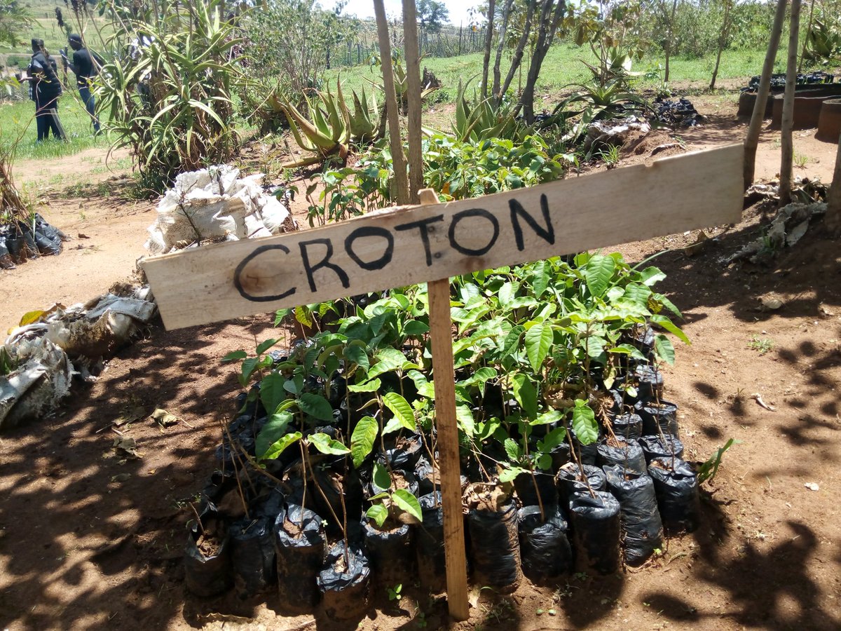 Lesire🇰🇪 tweet media