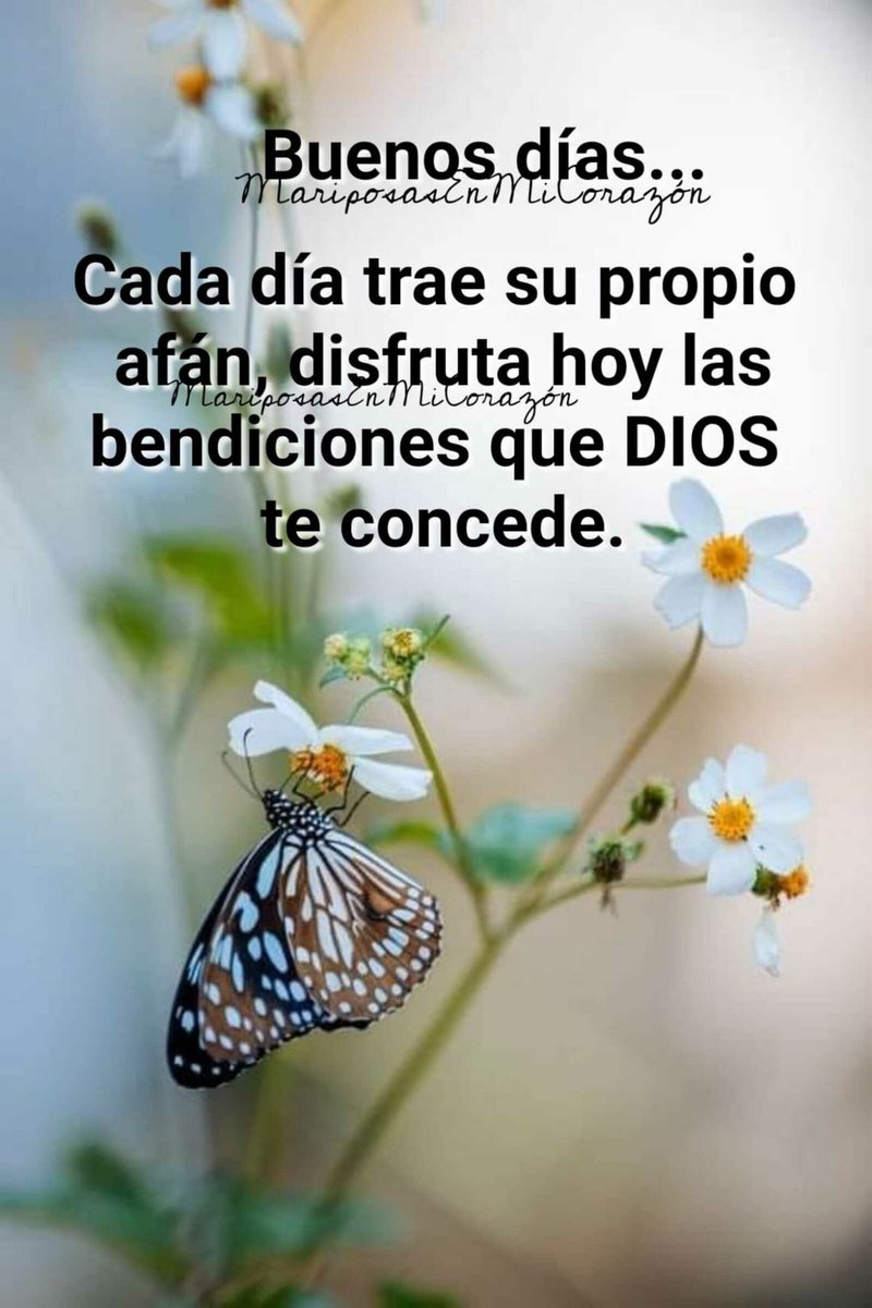 #CastigoALosCorruptos @2702_decarballo @Adrianita714 @Amoreidaniajose @Andinita2021 @BellaYurimar1 @Caav79 @Carol18ing @feentidios35 @freddyp44055243 @Idalia50M @IralisailC @leridadegarcia1 @MamJosefina1 @nanunsc2 @bravoa1320