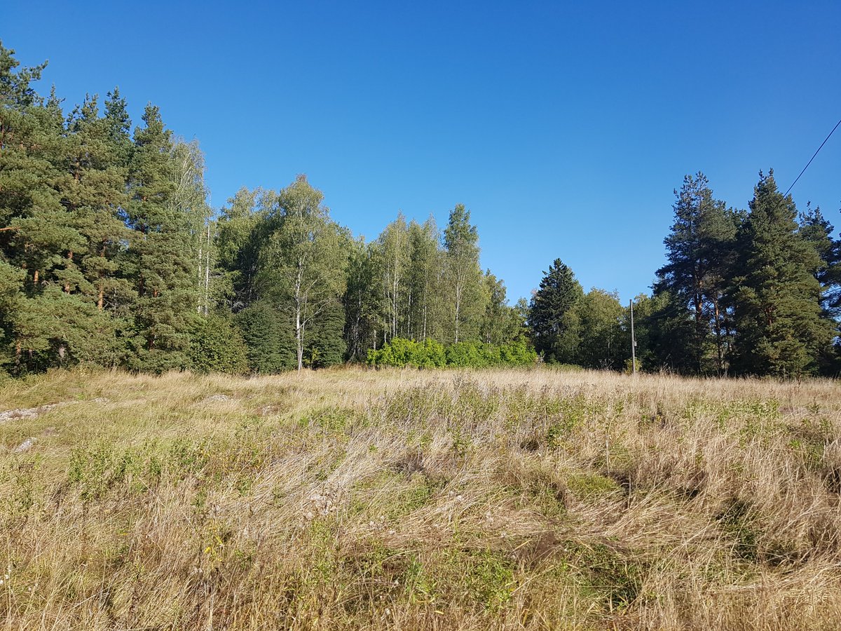 Salonkaupunki's tweet image. Meriniityn Nakolinnan alueella #SalonPölyttäjälinna -hankkeen työt ovat loppusuoralla. Talven aikana on poistettu yksittäisiä puita ja puuryhmiä sekä raivattu alikasvustoa. Hankkeen avulla parannetaan pölyttäjien olosuhteita. #SalonKaupunki #pölyttäjät
tiedotteet.salo.fi/polyttajalinna…