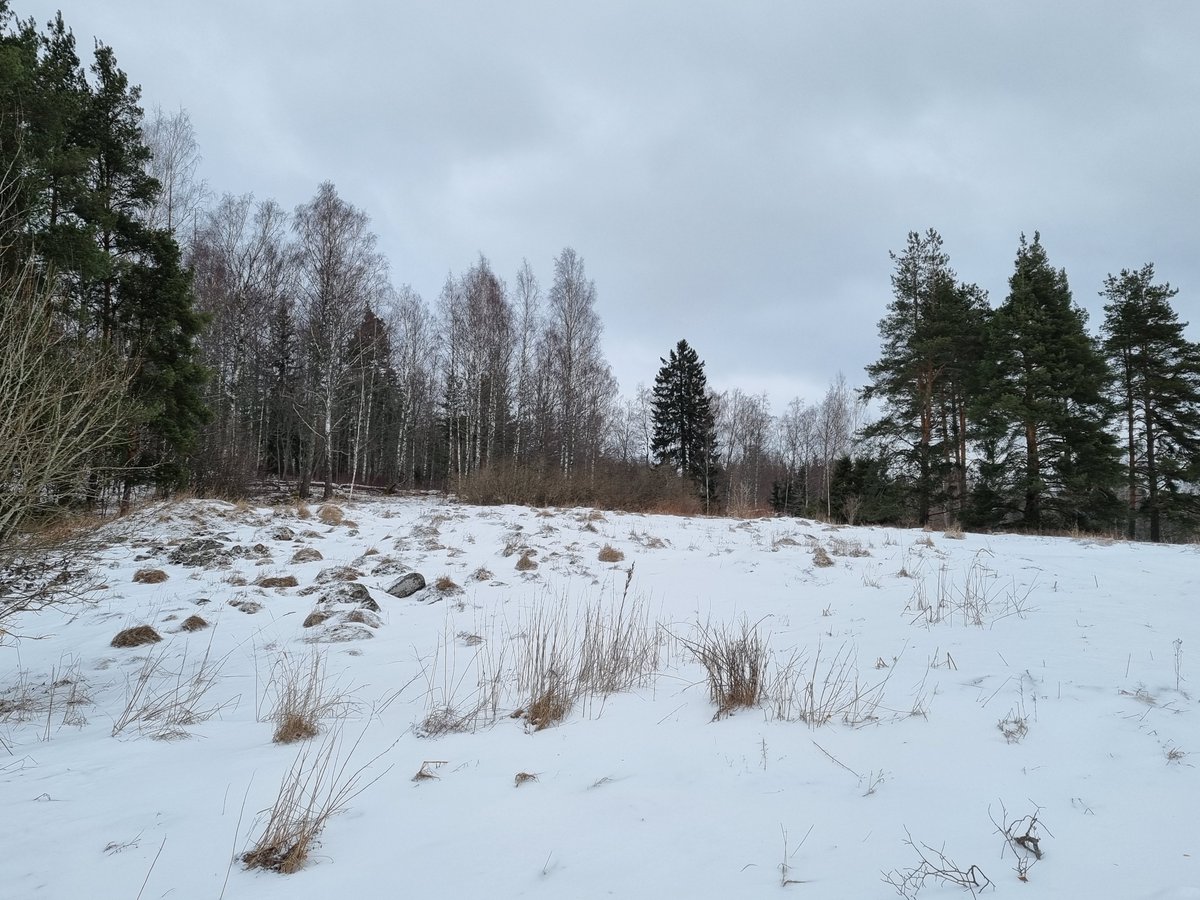 Salonkaupunki's tweet image. Meriniityn Nakolinnan alueella #SalonPölyttäjälinna -hankkeen työt ovat loppusuoralla. Talven aikana on poistettu yksittäisiä puita ja puuryhmiä sekä raivattu alikasvustoa. Hankkeen avulla parannetaan pölyttäjien olosuhteita. #SalonKaupunki #pölyttäjät
tiedotteet.salo.fi/polyttajalinna…