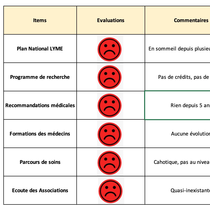 ChroniLyme's tweet photo. 🆘 Soyons clairs, les malades de #Lyme ont été abandonnés par @Sante_Gouv depuis plusieurs années. Quelques efforts en 2019 et puis plus rien... https://t.co/iBrM2YyzEa