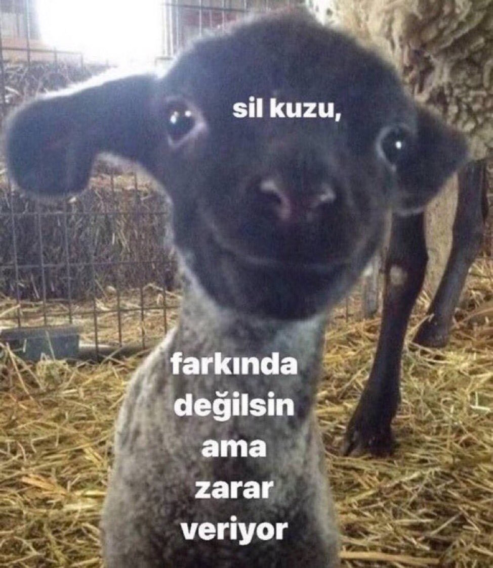 derin🧝🏻‍♀️ on Twitter: "deme oyle deme"