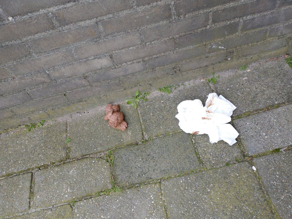 ktjpee's tweet photo. Een dieptepunt in mijn stadscentrum-leven... #kak #gouda #naastmnvoordeur #gadverdegadver #hoeisuwmorgen https://t.co/GHABawFCFX