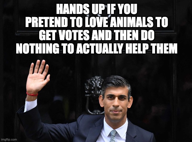 Laurie Wills tweet media