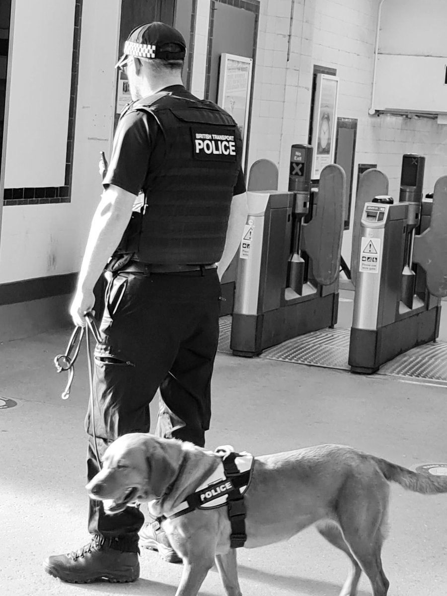 A number of persons dealt with for revenue offences. These operations are conducted to disrupt, detect & deter criminality to ensure passengers have a safe journey and staff feel safe at their place of work.
#railwayguardians #collaboration #thenoseknows #neighbourhoodpolicing