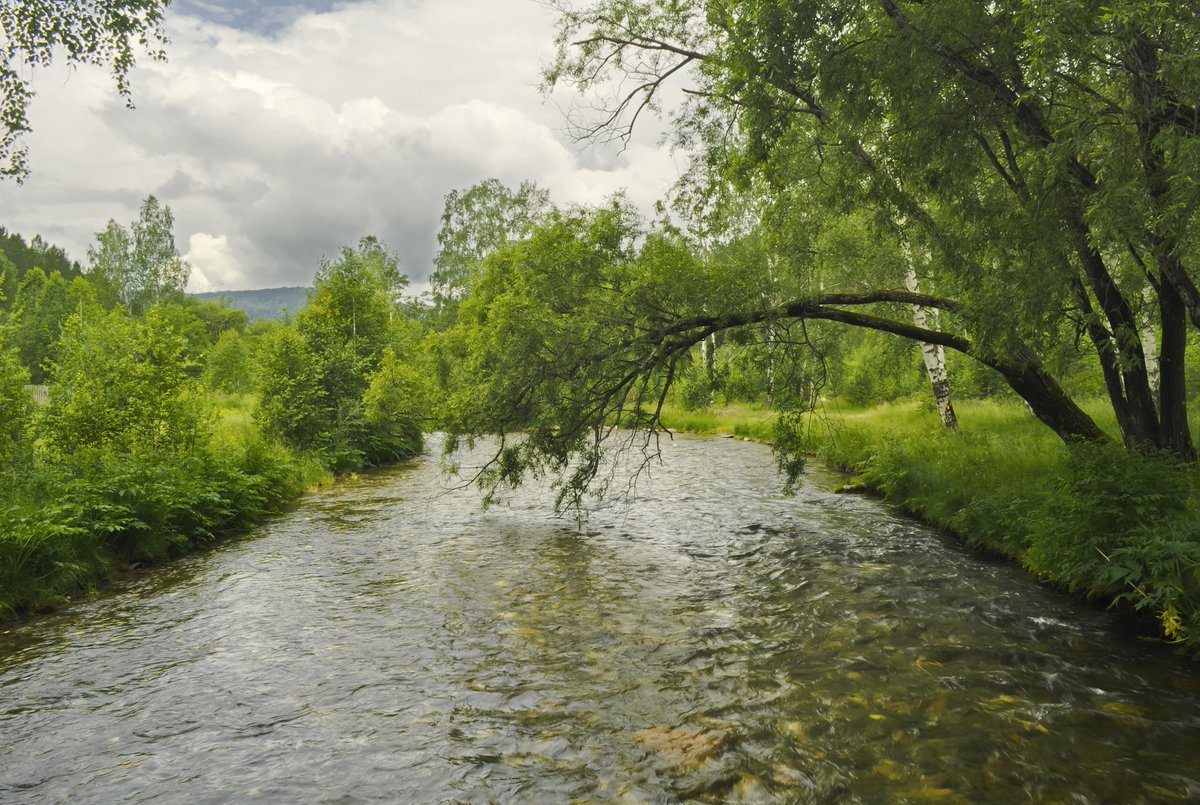 profes_yonel's tweet photo. #forest #landscape #pine #leaf #soil #grass #rock #lake #water #cloud #mountain #hills #summer #autumn #sunset #evening #day #roads #boat #lighthouse #sky #winter #snow #nature #green #colors #flowers #spring #desert #house #river #stream #village #rain #countries #night #Turkey https://t.co/JlPbn55hKn