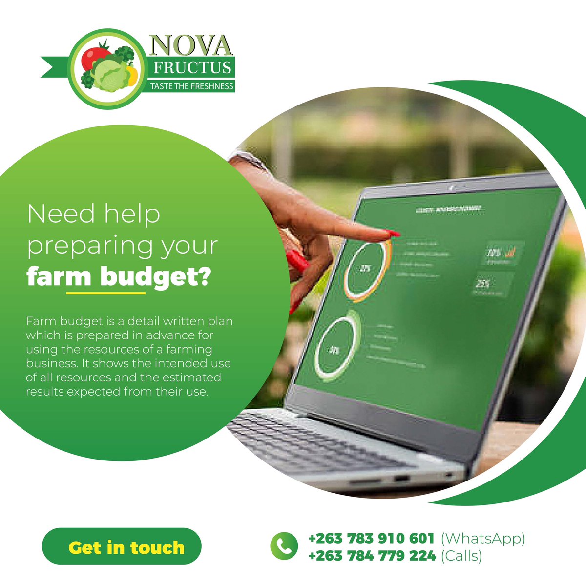 NovaFructus's tweet photo. Need help preparing your farm budget? Contact us today for professional farm budgets.
:
#novafructusfarming #farmbudgets #zimfarmers #farminginzimbabwe #farmmanagement #farmingtips #mwanawevhu #agriculture https://t.co/w3DcKuBGGq