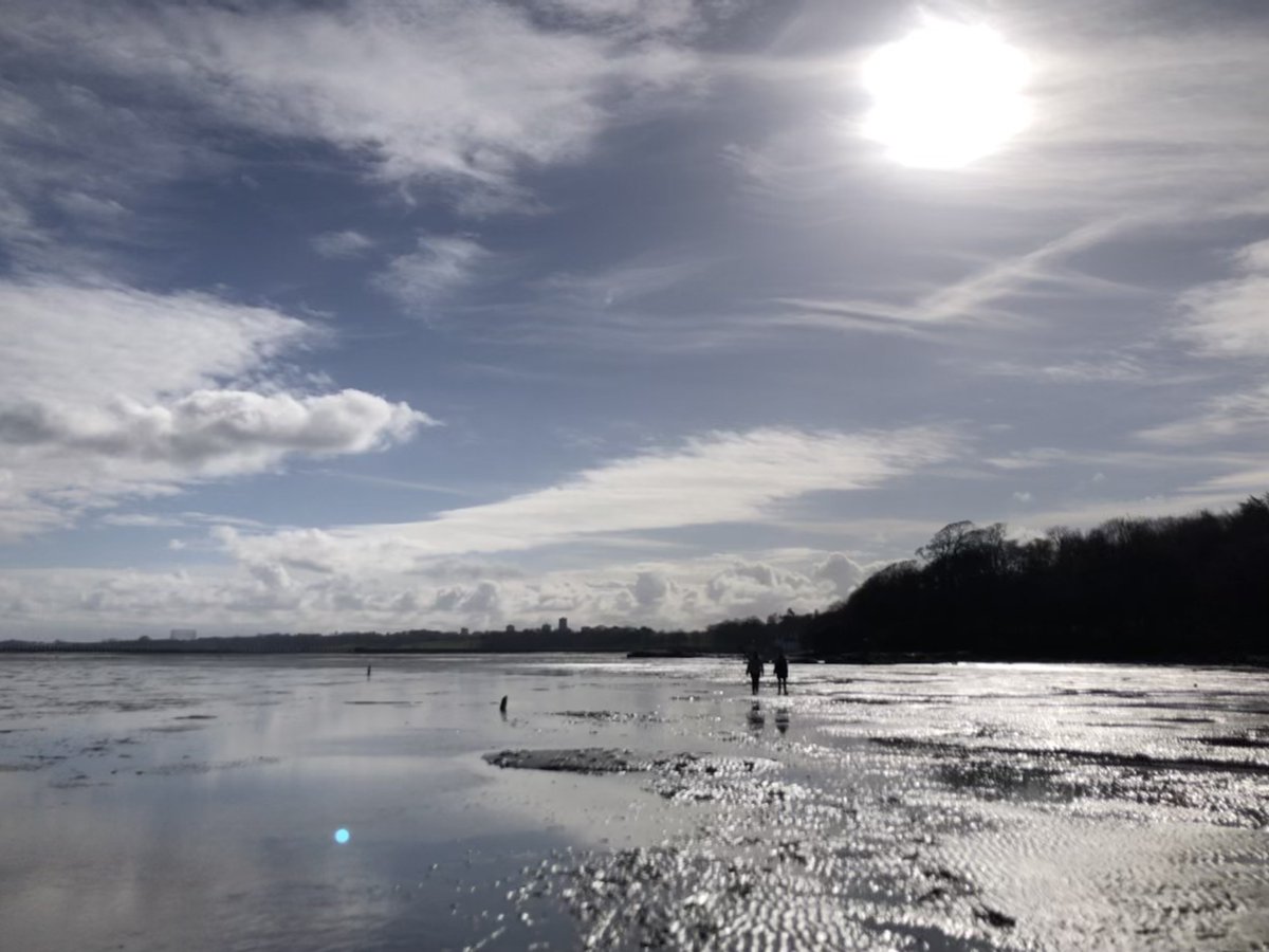 IssyKey's tweet image. #Seagrass restoration in the #FirthofForth is officially underway!

It was such a treat to help inject seeds into the mudflats - now we just have to wait patiently for them to germinate🌱

Huge congrats to the Restoration Forth team who organised this so elegantly 👏