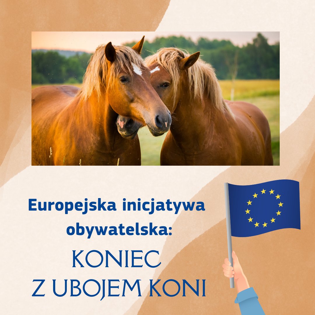 🐴"Koniec z ubojem koni" to europejska inicjatywa obywatelska, która zostanie zarejestrowana przez Komisję Europejską. Inicjatorzy chcą zakazu hodowli koni do produkcji mięsa, futer, skór.
🏇Jak zebrać konieczny milion podpisów pod inicjatywą - czytaj tu: poland.representation.ec.europa.eu/news/koniec-z-…