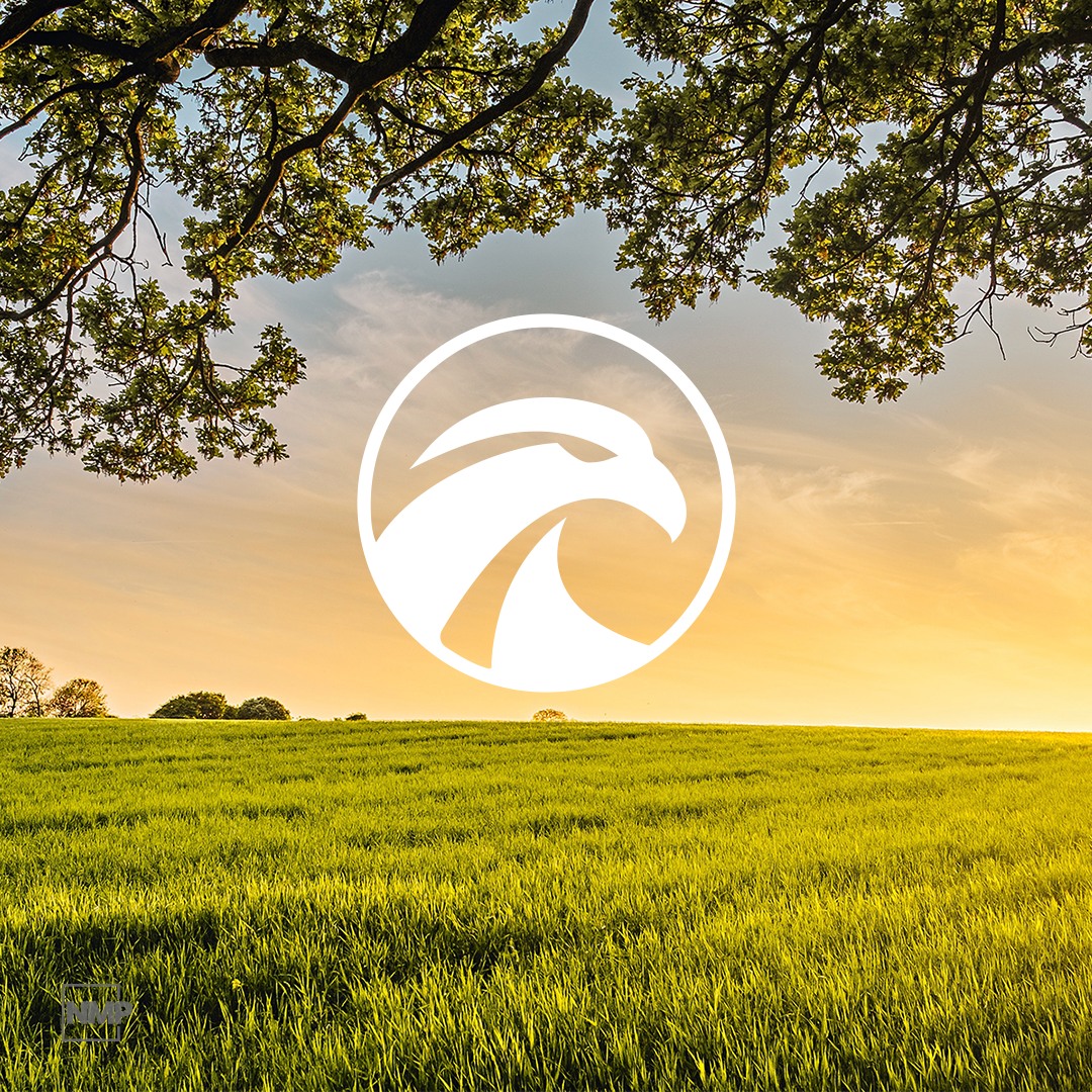 _NoMorePixels_'s tweet photo. Bringing nature to life with our stunning landscape logo design for Saker Contracting Ltd 

#uklogodesigners #logodesignersuk #buildmybranduk #UKlandscaping #Britishlandscaping #landscapinginUK #UKlandscapedesign #Britishlandscapedesign #UKlandscapingideas https://t.co/E96D8oQGL9