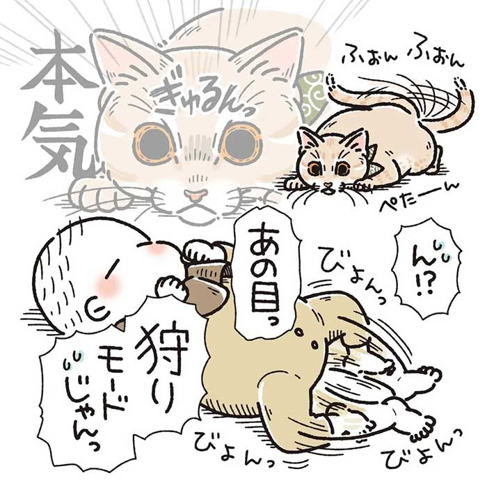 赤ちゃんに飛びかかった猫 その後の行動に「キュンとしてしまった」 https://t.co/EKaKuaz22c @grapeejpより 